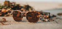 CAMP TOPO: MATTE TORTOISE/ WALNUT - BASIC POLARIZED BROWN