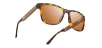 CAMP TRAIL: MATTE TORTOISE/ WALNUT - BASIC POLARIZED BROWN