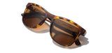 CAMP TRAIL: MATTE TORTOISE/ WALNUT - BASIC POLARIZED BROWN