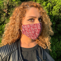 PAISLEY 4-PACK REVERSIBLE FACE MASK